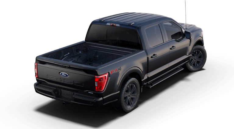 2023 Ford F-150 Vehicle Photo in Terrell, TX 75160